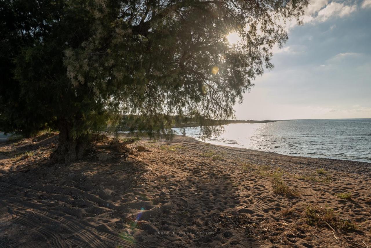Alexandros Luxury House Villa Falasarna Dış mekan fotoğraf