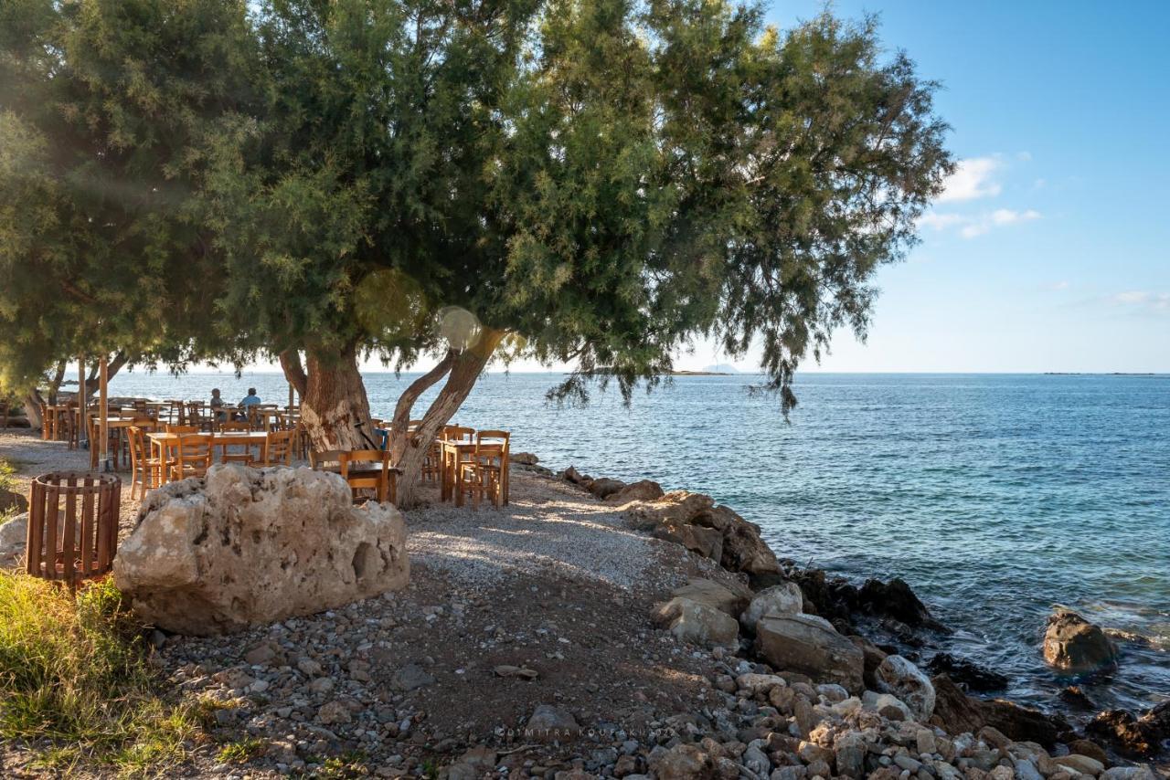 Alexandros Luxury House Villa Falasarna Dış mekan fotoğraf